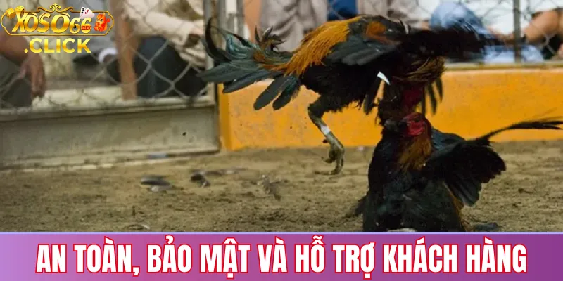 Đá gà Xoso66: Trận đấu trực tiếp, cược hấp dẫn 24/7 3 Bảo mật tài khoản và hỗ trợ 24/7 khi chơi đá gà trực tiếp tại Xoso66