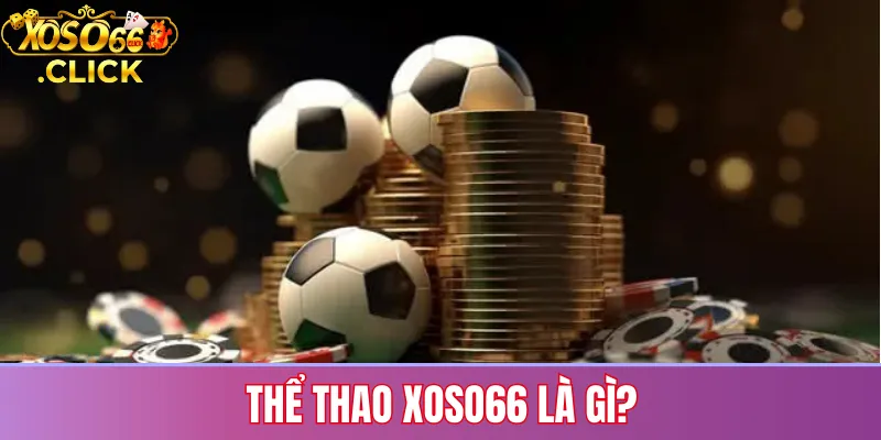 Thể Thao Xoso66: Kèo Nóng, Trận Đấu Đỉnh Cao Mỗi Ngày 2 Giới thiệu thể thao Xoso66 với các môn cá cược phổ biến và tỷ lệ kèo cập nhật liên tục